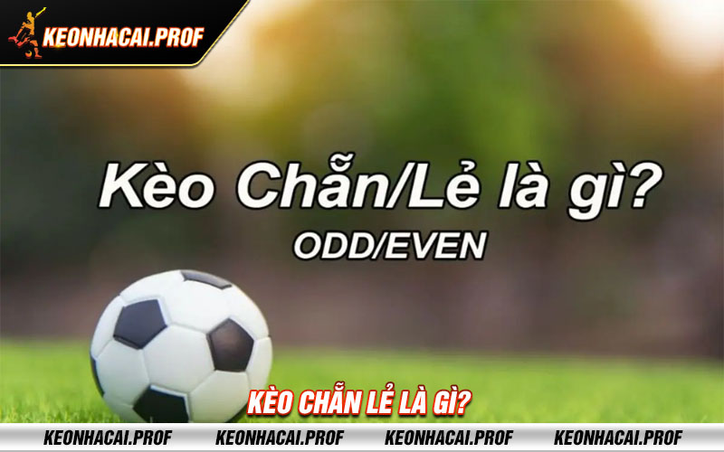 Keo chan le la gi Kèo chẵn lẻ là gì?