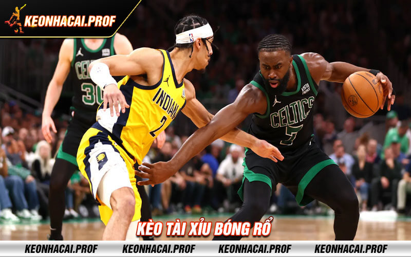 Keo tai xiu Bong Ro Kèo tài xỉu Bóng Rổ