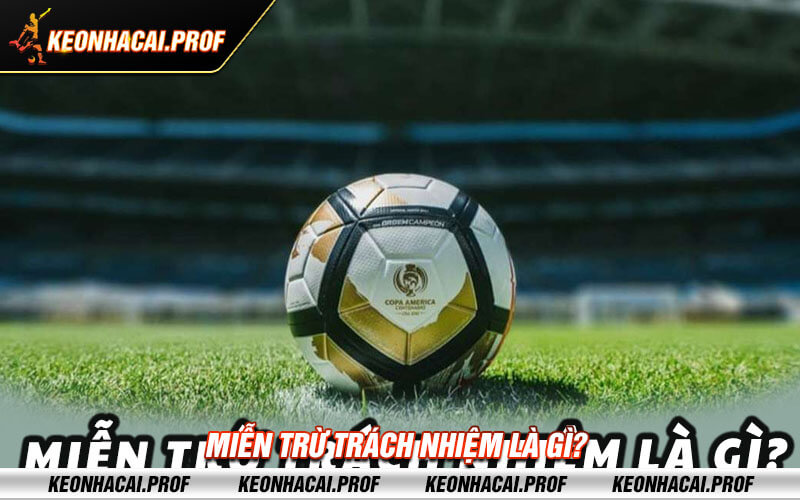 Mien tru trach nhiem la gi Miễn trừ trách nhiệm là gì?